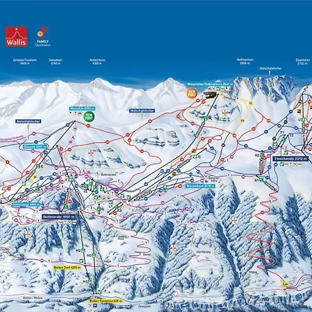 Apartamento Heidi 16 Bettmeralp